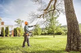  Broadway, NC Tree Removal Services Pros